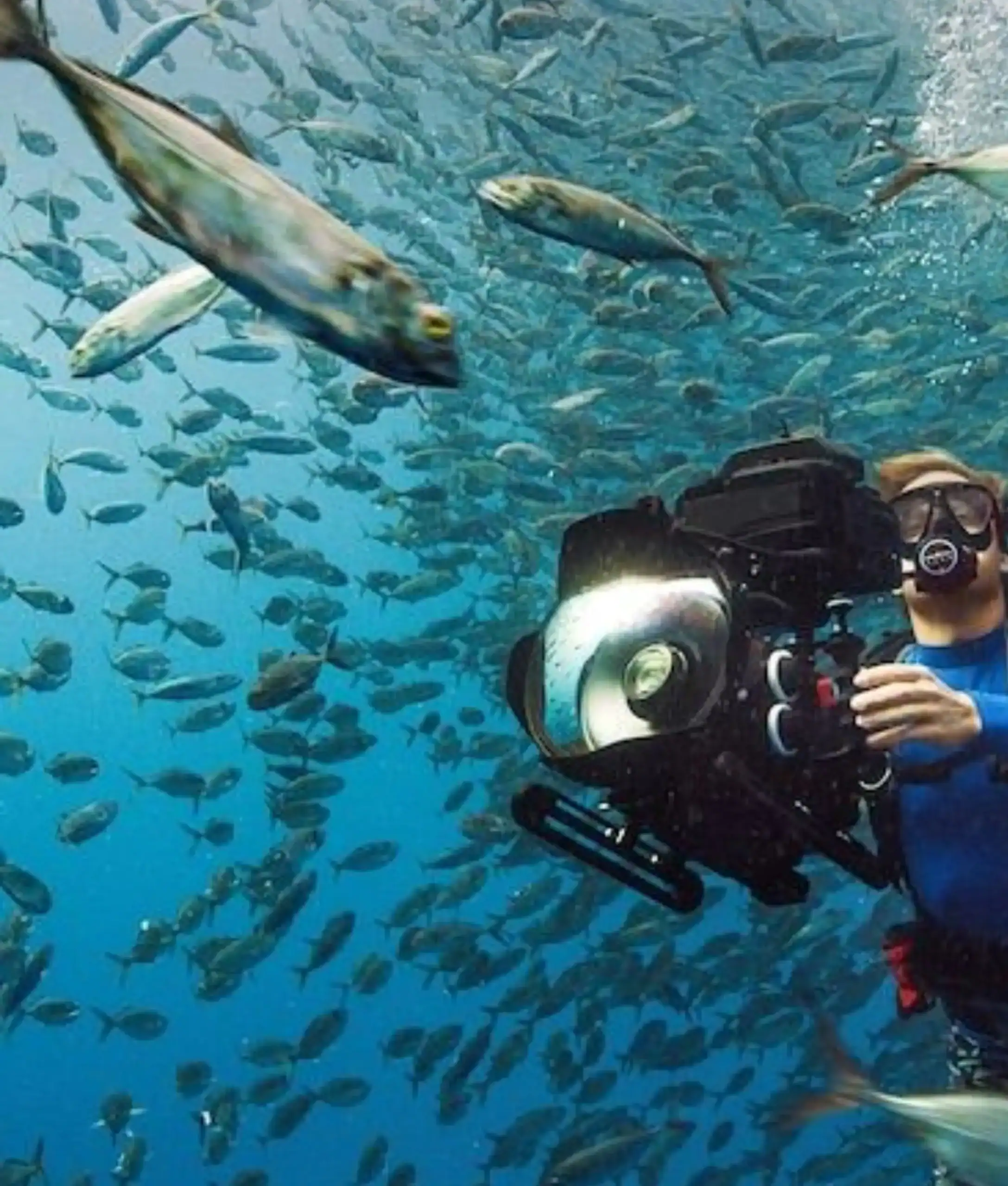 Documentary IPTV plus subscription Discovery Channel National Geographic BBC educational documentary streaming