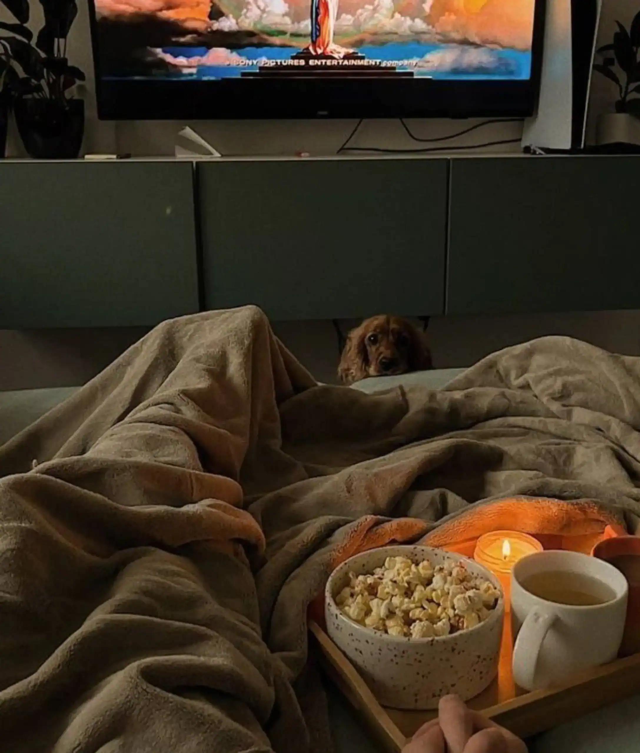 TV series IPTV pro subscription Netflix HBO Amazon Prime premium shows catch-up streaming binge watch